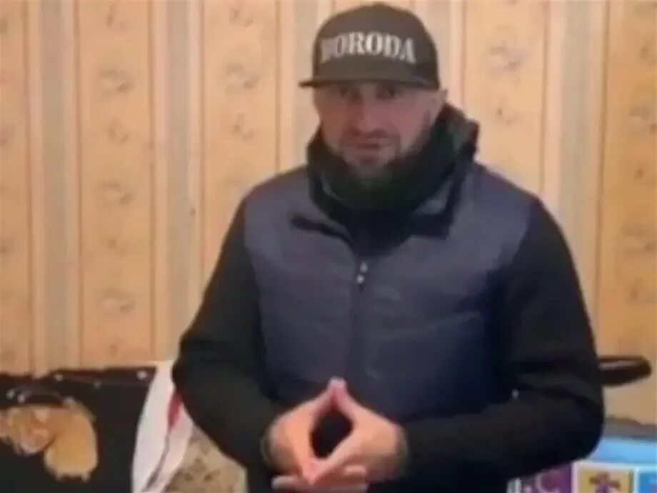 дагестанский блогер дибир борода. дибир дибиров борода. дибир дибиров борода. тумсо и дибир борода. дибир борода.