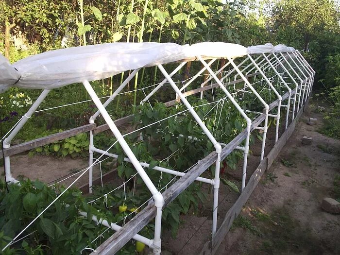 Парник из полипропиленовых труб для огурцов. Теплица из пропиленовых труб. Парник из полипропиленовых труб для огурцов. Парники и теплицы из полипропиленовых труб. Gfhybt bp gjkbghjgyktyjds[ nhe,.