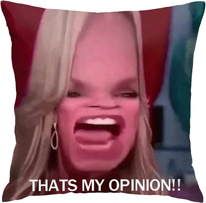 Because in my opinion. My opinion meme. Meme its my opinion. Мем my opinion correct your opinion wrong. Common opinion meme.