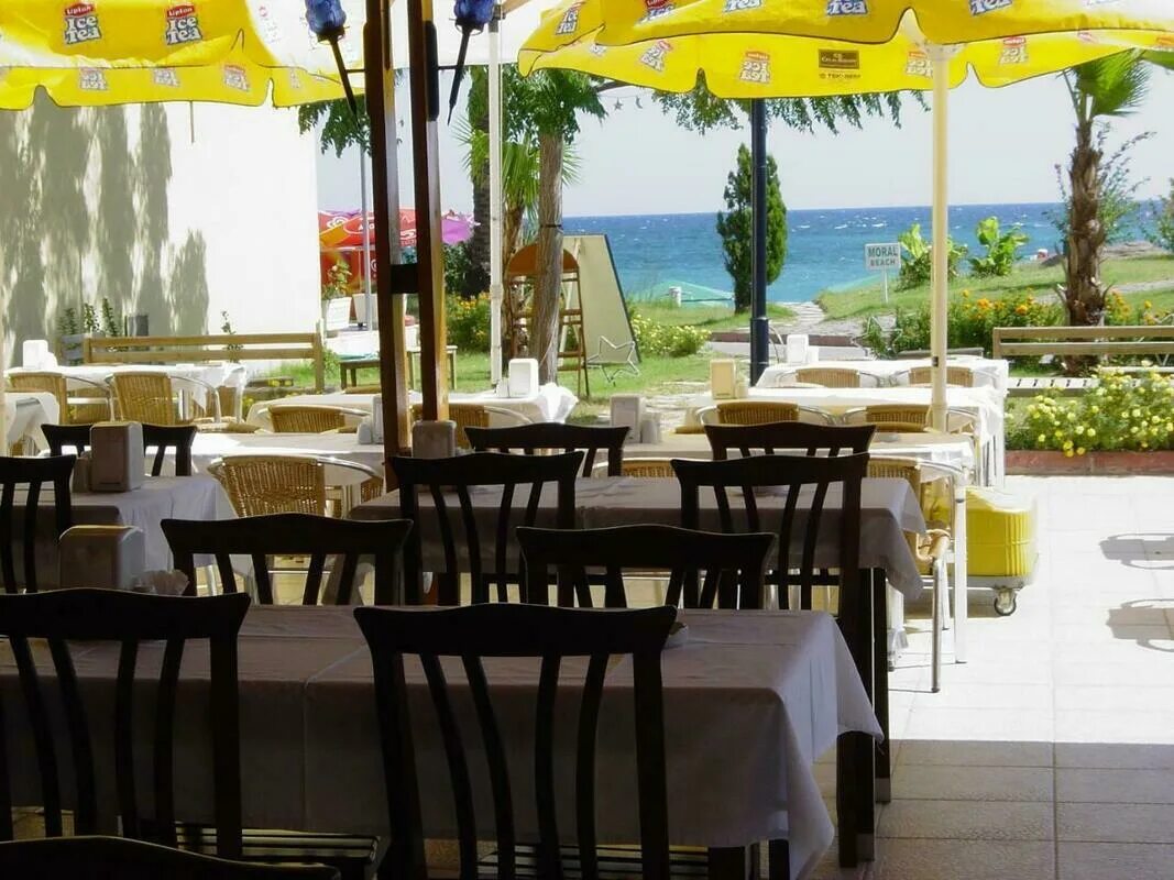 Miranda moral beach hotel 3 турция кемер. Миранда отель турция кемер. Viking moral beach) 3*. Миранда отель турция кемер. Миранда отель турция кемер.