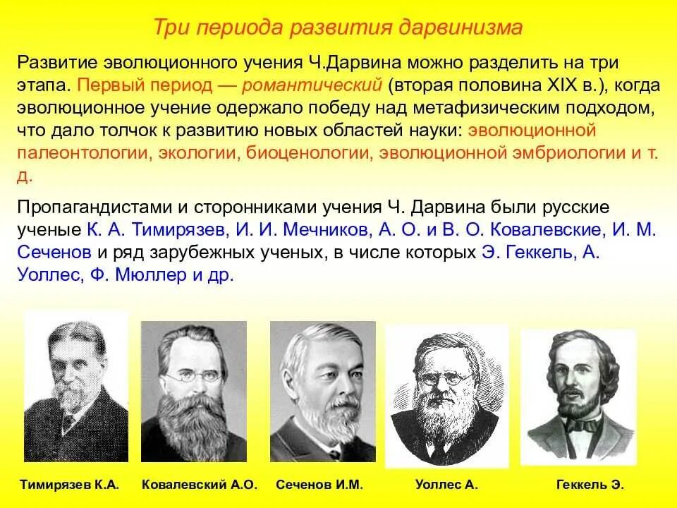 Ученые современной теории эволюции. Гипотеза Дарвина строннрик. Теория Чарльза Дарвина сторонники. Формирование представлений об эволюции учение ч Дарвина. Сторонники теории эволюции.