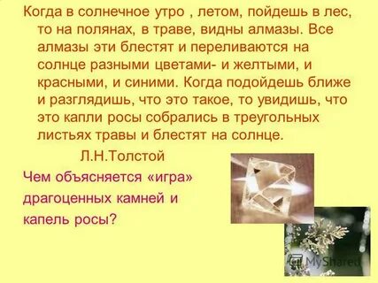Когда солнечное утро пойдешь в лес