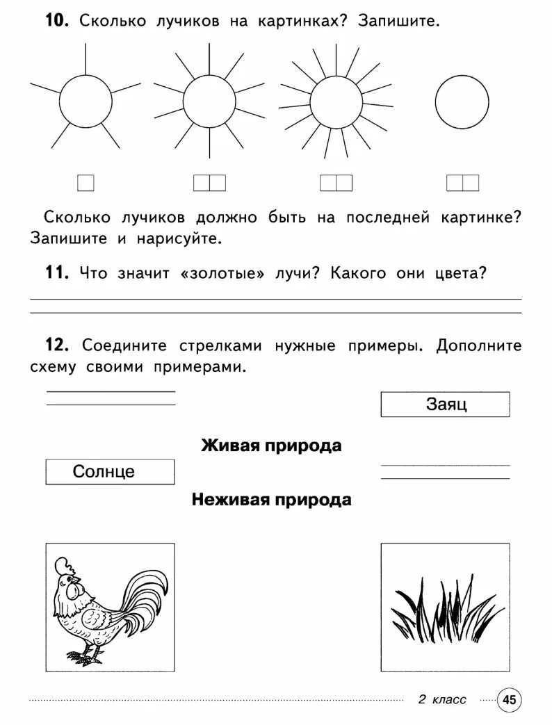 Комплексная работа 2 класс сколько. Комплексная работа утренние лучи. Интегрированные задания 2 класс. Сколько лучиков на картинке. Утренние лучи Ушинский 2 класс комплексная работа.