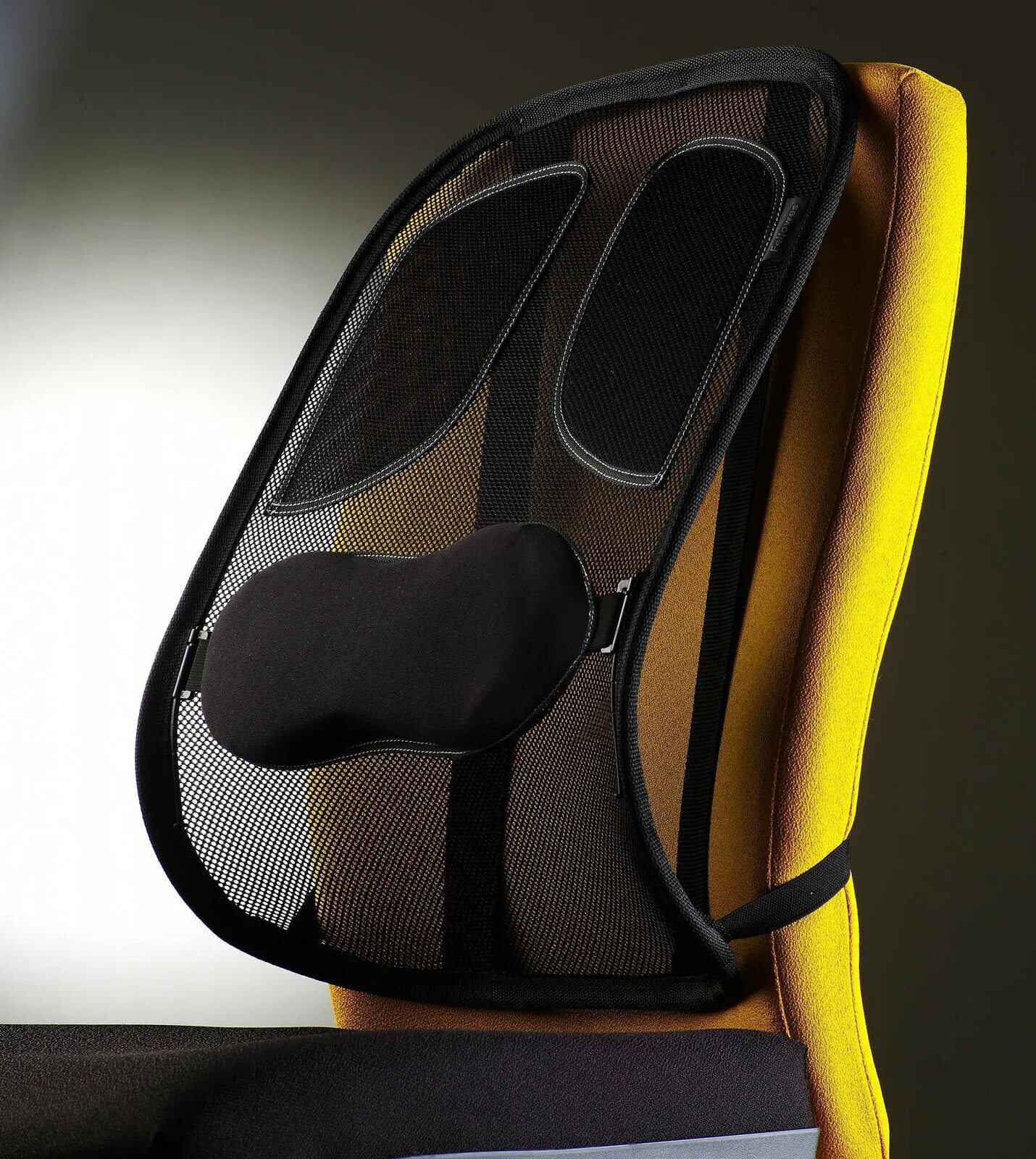 Сетчатая спинка. Накладка на кресло. Ортопедическая подкладка под спину для офисных кресел. Подушка для кресла Fellowes FS-80264. Ортопедическая накладка. Собаке.