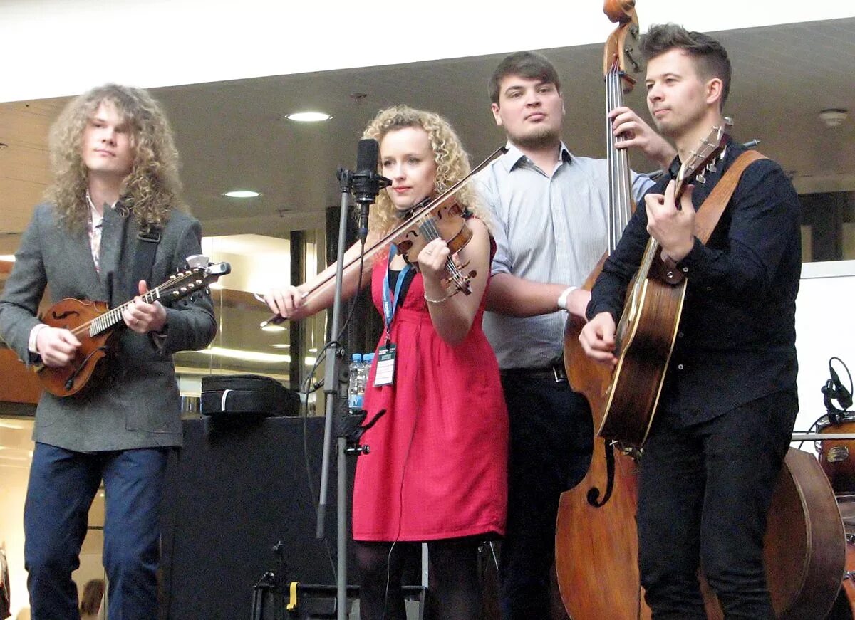 Curly strings. Curly strings band.