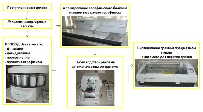 Процедура фиксации гистологических образцов необходима для. Автомат для фиксации гистологического материала leica. приспособление для окраски гистологических срезов. прибор для проводки гистологических образцов.