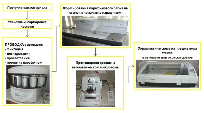 Аппарат для окрашивания гистологических срезов Leica. Автомат для фиксации гистологического материала Leica. Проводка материала для гистологического исследования. Приспособление для окраски гистологических срезов.