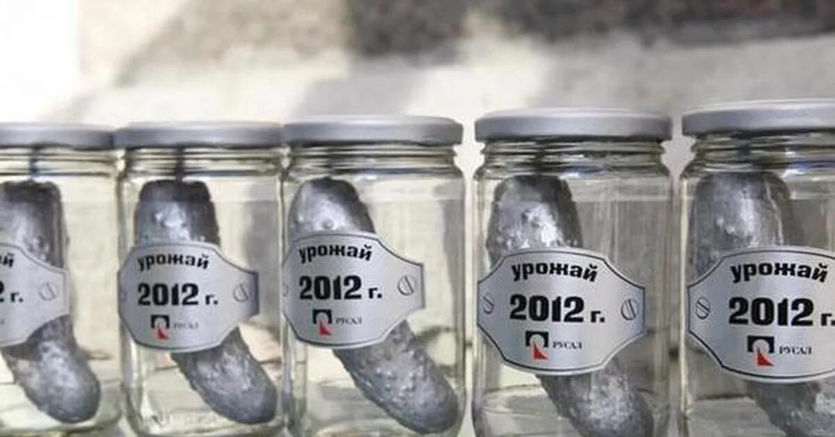 Алюминиевые огурцы цой. Алюминиевые огурцы. Алюминиевые огурцы сорт. Сажаю алюминиевые огурцы на брезентовом поле слушать. Алюминиевые огурцы.