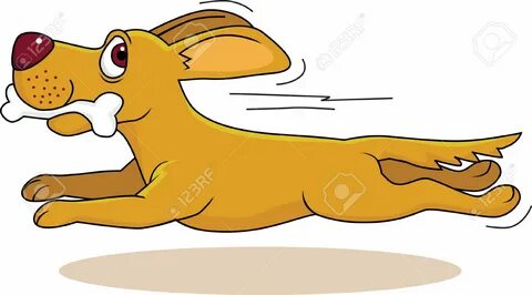 A dog can