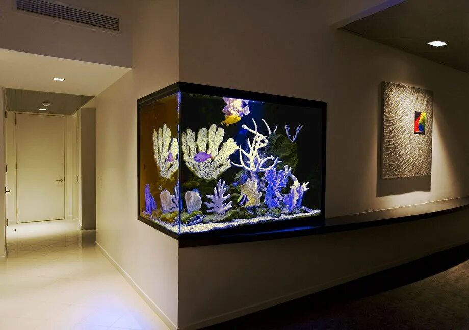 круглый аквариум. сухой аквариум в интерьере своими руками. аквариум в стене. сухой аквариум в интерьере. декор для аквариума.