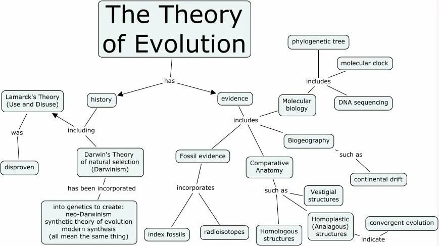 Org theory. Darwin theory of evolution. synthetic theory of evolution. darwin&#039;s theory. history of evolution theory.