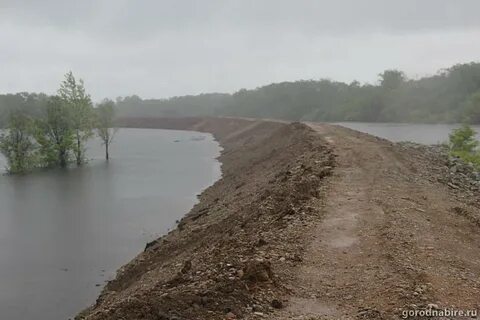 Уровень реки бира