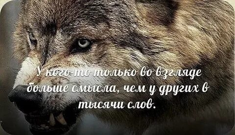 Взгляд лучше слов
