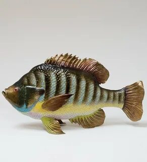 Fish 17