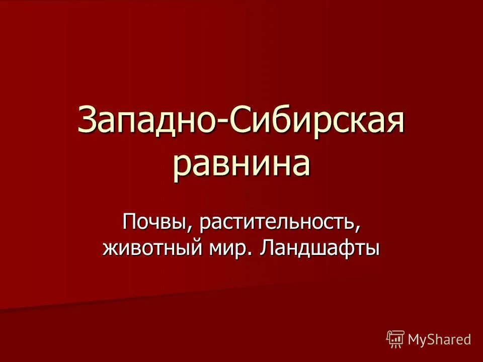 Тест по теме западная сибирь. Почвы Западно сибирской равнины. "Западно-Сибирская равнина. Растительность и животный мир.. Западно-Сибирская равнина почвы и растительность. Растительность Западно сибирской равнины.