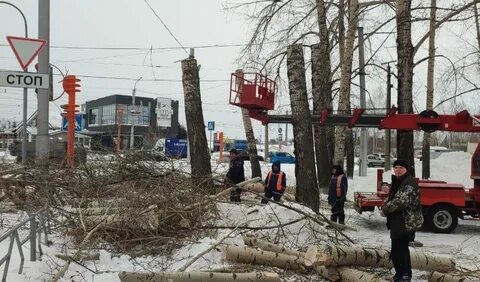 Сибиряк кемерово отзывы