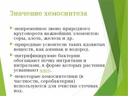 Роль хемосинтезирующих бактерий в экосистемах