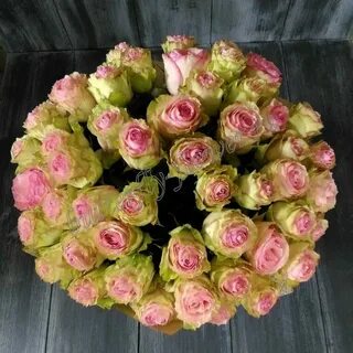 Эсперанс фуэрзина