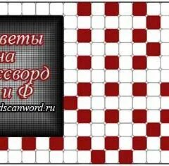 Аиф 7 2024 ответы на кроссворд сканворд