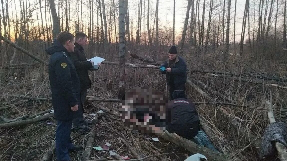 Заброшенные дома в кирсанове. Трупы в тамбовских лесах. Найдена женщина тамбовская область. Дтп кирсанов тамбовская область. Найдена женщина тамбовская область.