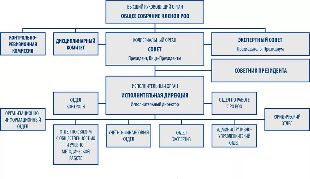 Общ учреждения в россии. Структура общественной организации схема. Организационная структура общественной организации. Оргструктура общественной организации. Организационная структура управления общественной организации.