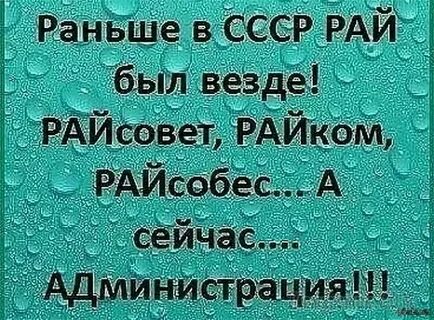 Лучшие смешные афоризмы