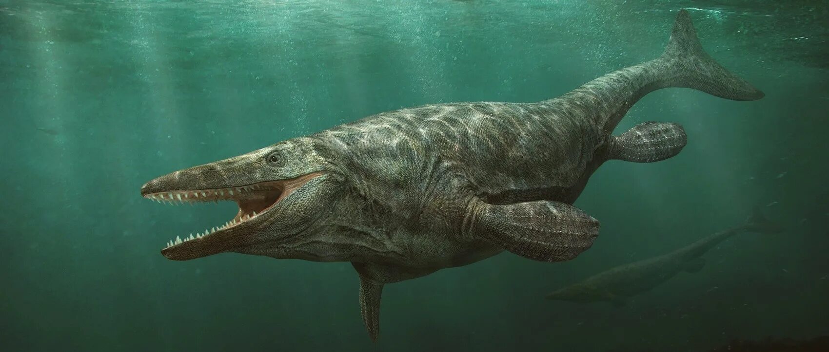 Тилозавр. Тилозавр. Мозазавр триасового периода. Динозавры морские мегалодон. Тилозавры.