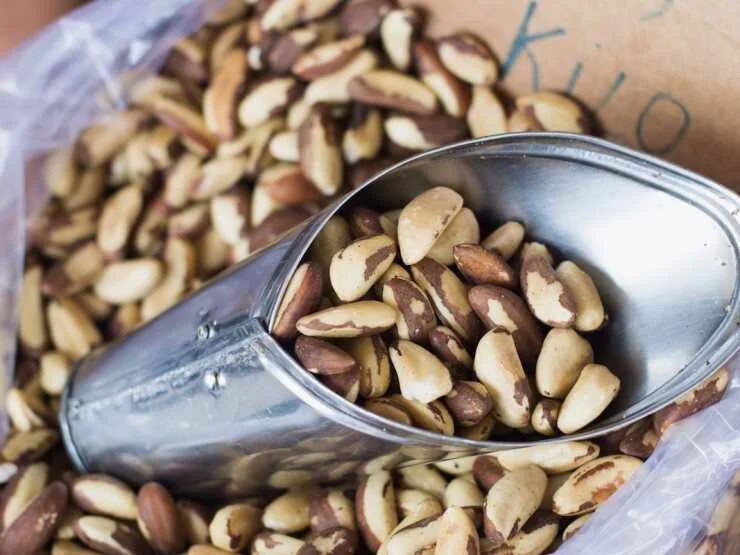 Орех макадамия польза. Макадамия чем полезны для мужчин. Аргентинский орех макадамия. Макадамия витамины. Киндал киндал орех.