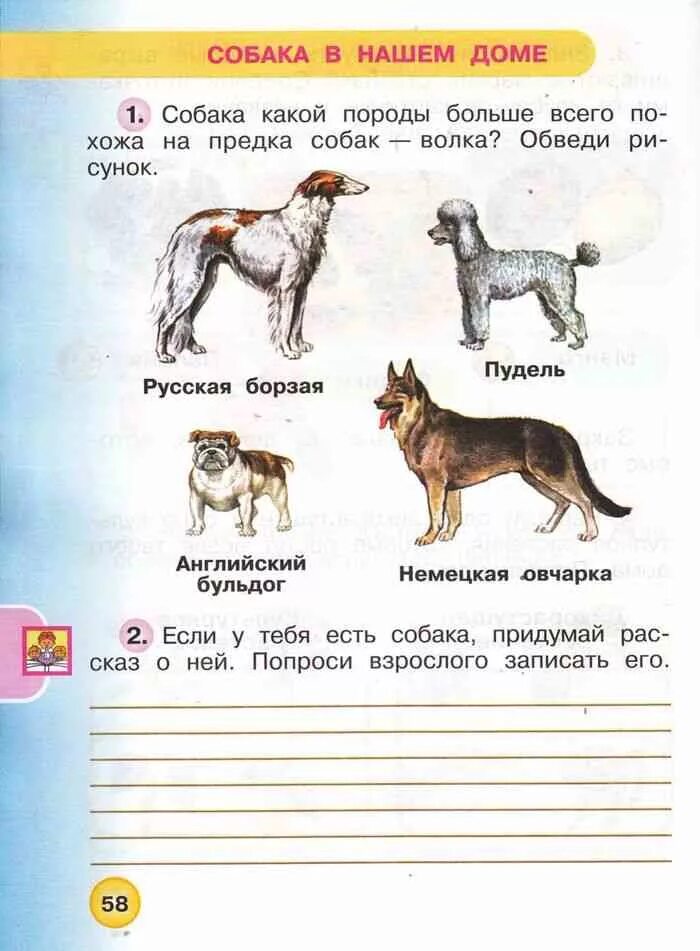Окр мир 1 класс стр 13. Окружающий мир 1 класс рабочая. окружающий мир 1 классраб. окружающий мир. 1 класс. рабочая тетрадь.. окружающий мир 1 класс школа россии рабочая тетрадь.