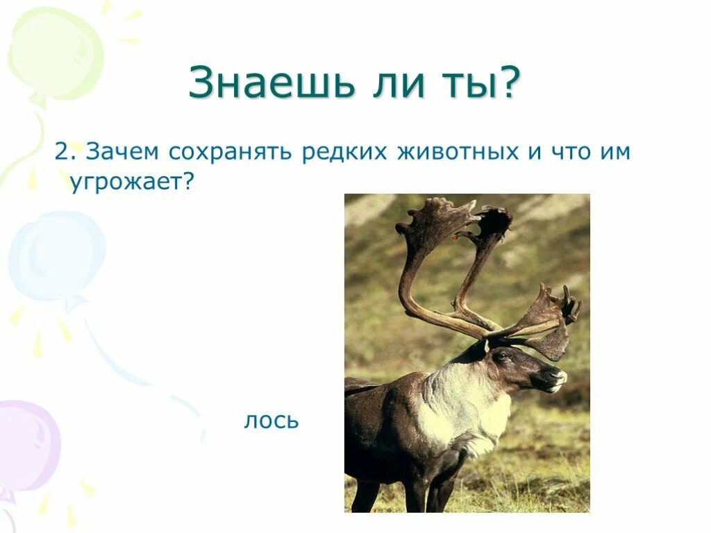 Зачем сохранять