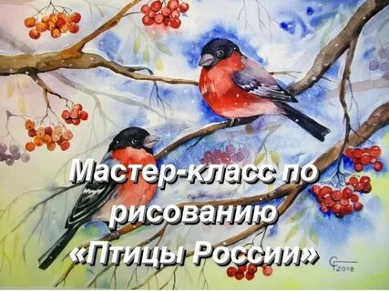 Нарисовать птиц зимой