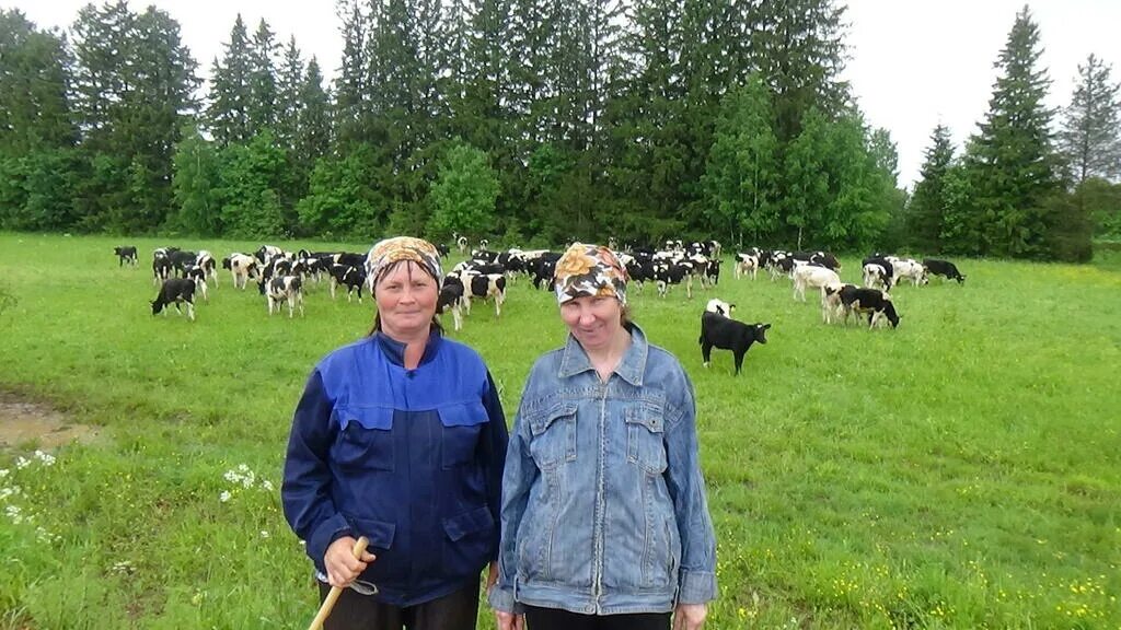 Погода в больших кустах куединского. Село верх Уни Юкаменский район. Дойная Пермский край деревня. Сельхозпредприятия Куединского района. Деревня Потураевка Куединский район.