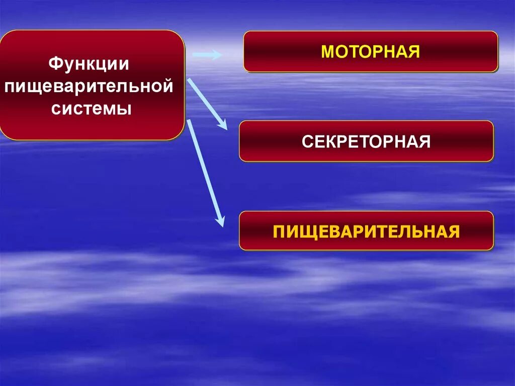 Защитные секреторные функции выполняют. Секреторная функция пищеварительной системы. функции моторной системы. моторные системы организма. функции нисходящих моторных систем.