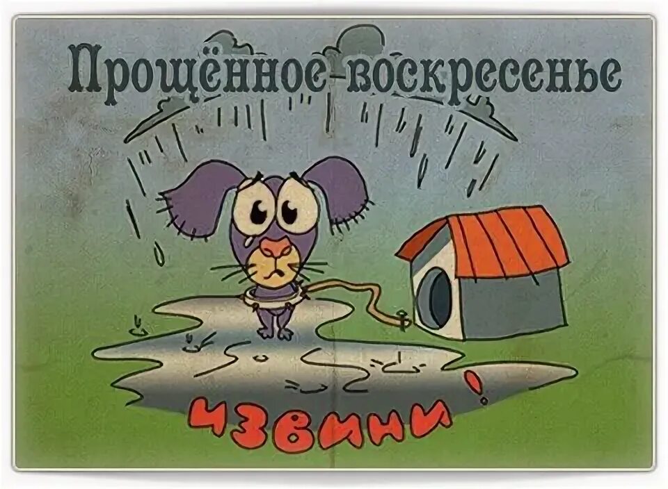 Попросить прощения прикол. Прощенное воскресенье шуточные. прощенное воскресенье шуточные картинки. прощеное воскресенье открытка с юмором. с прощением воскресенье прикольные.