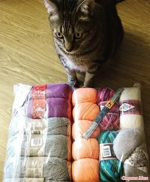 сижу вяжу интернет магазин. красивое рукоделие. толстая капроновая пряжа. большая куча пряжи. продавец в магазине пряжа.