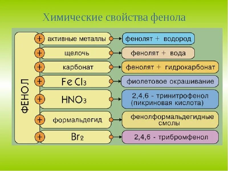 С чем не реагирует фенол