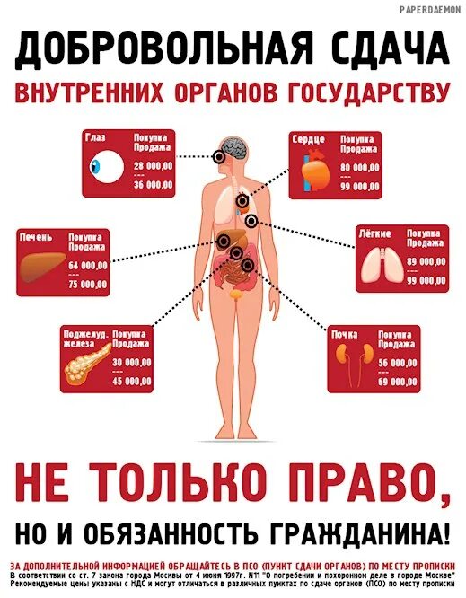 Сколько стоят органы. Какие органы можно продать. Сколько стоят органы человека. Расценки на органы человека в России.