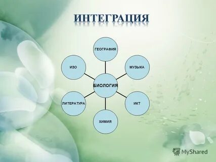 География биология литература