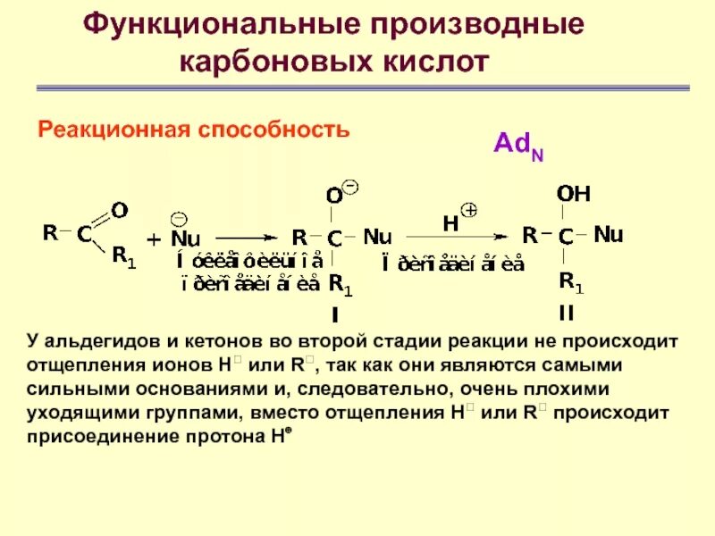 Функциональной группой карбоновых кислот является. Реакционноспособность производных карбоновых кислот. нуклеофильное присоединение карбоновых кислот. образование функциональных производных карбоновых кислот. функциональные производные карбоновых кислот.
