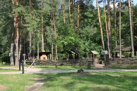 Поляне брянск