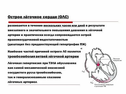 Снижают давление в легочной артерии