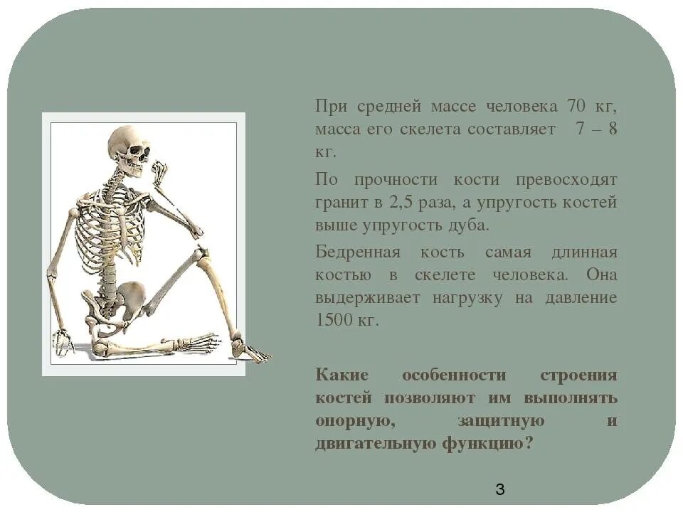 Вес скелета человека в кг. Средний вес скелета человека. Масса скелета взрослого человека. Вес человеческих костей.