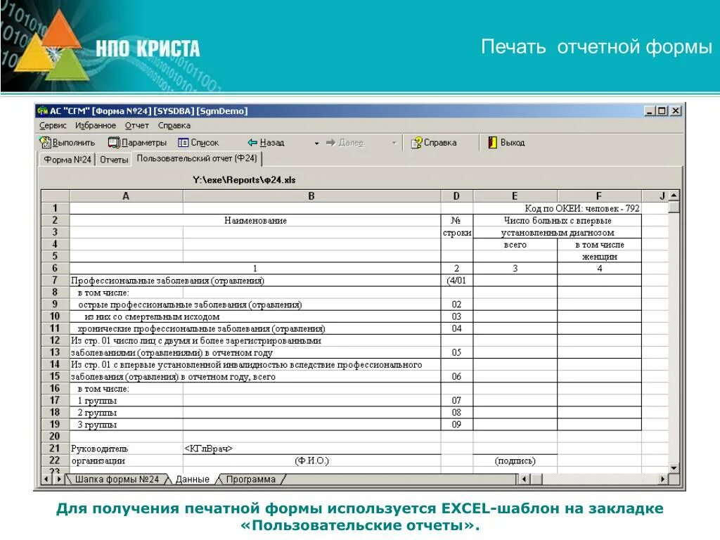 Шаблон отчета. Форма отчета руководителю. Форма отчета для руководства. Макет отчета.