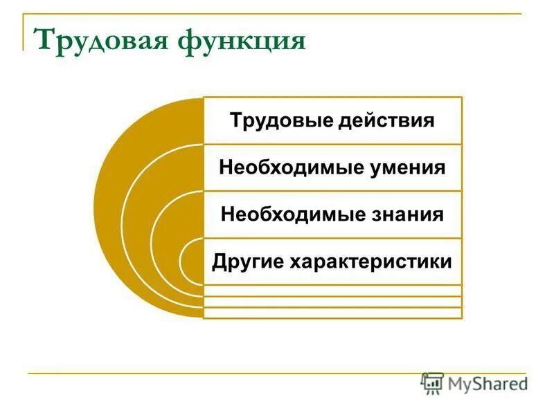 Трудовые действия необходимые умения необходимые знания