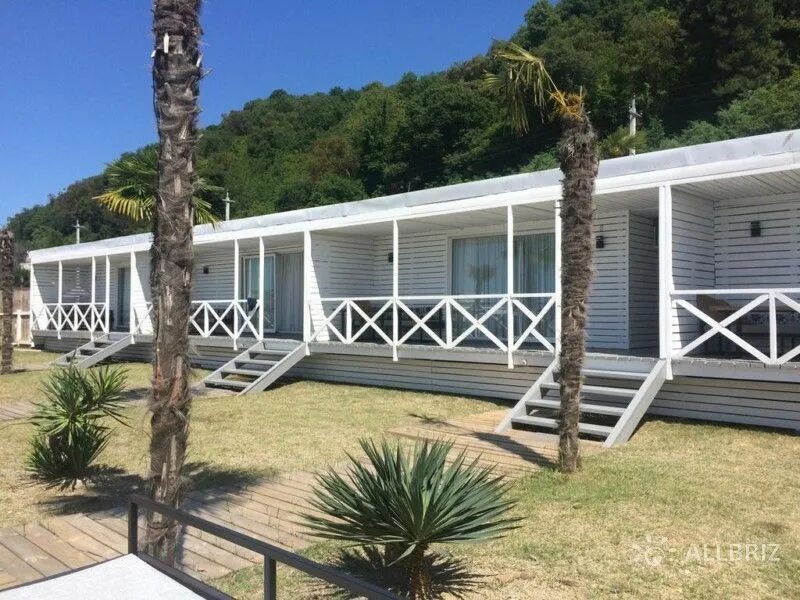 Пицунда отели на первой линии. Клубный отель дельфин абхазия лдзаа. Пицунда отели. Оп пицунда. Тихая гавань пицунда абхазия.