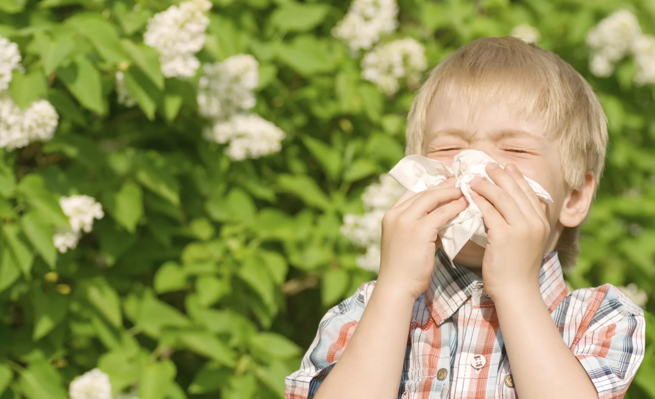 Летний насморк. Поллиноз Сенная лихорадка у детей. Аллергия на пыльцу.