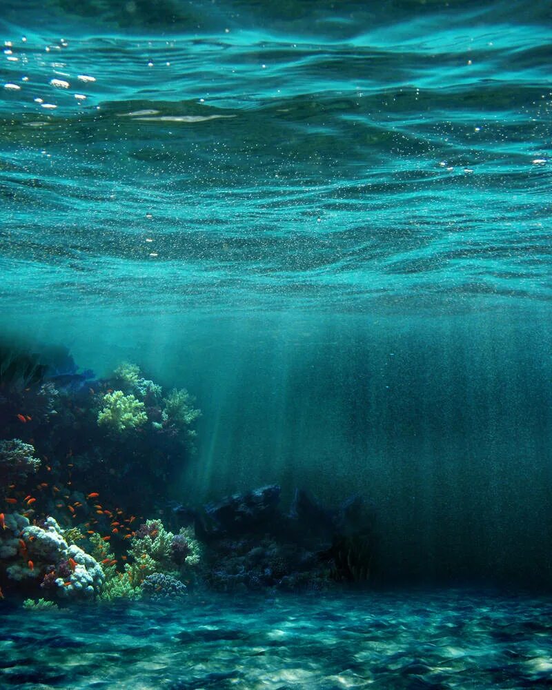 В глубь океана. Рифы в океане. Дно океана. Море под водой. Дно моря.