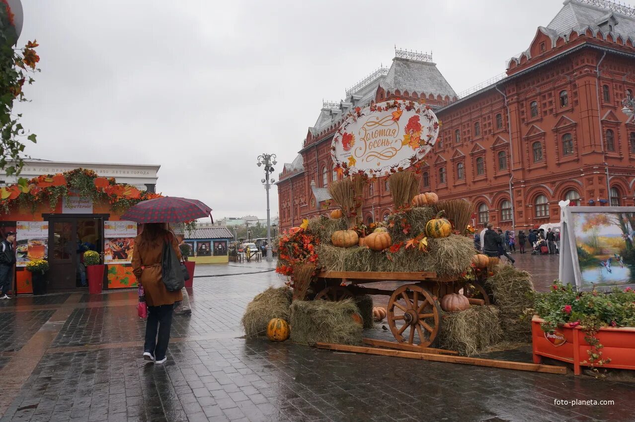 Осень ярмарка москва. Праздник урожая. Зеленоград московские ярмарки. Москва ярмарка сентябре. Золотая осень в москве кремль.