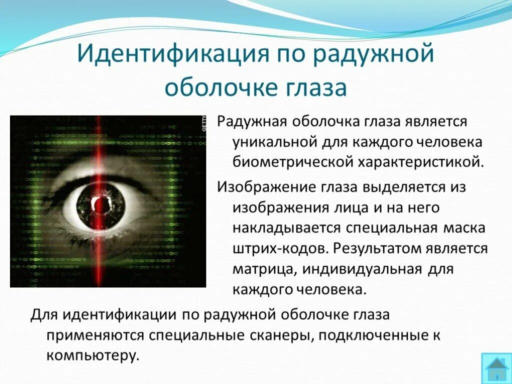 Биометрические системы идентификации. Что относится к биометрическим персональным данным. Биометрические системы защиты. Биометрические системы. Биометрическая защита информации.