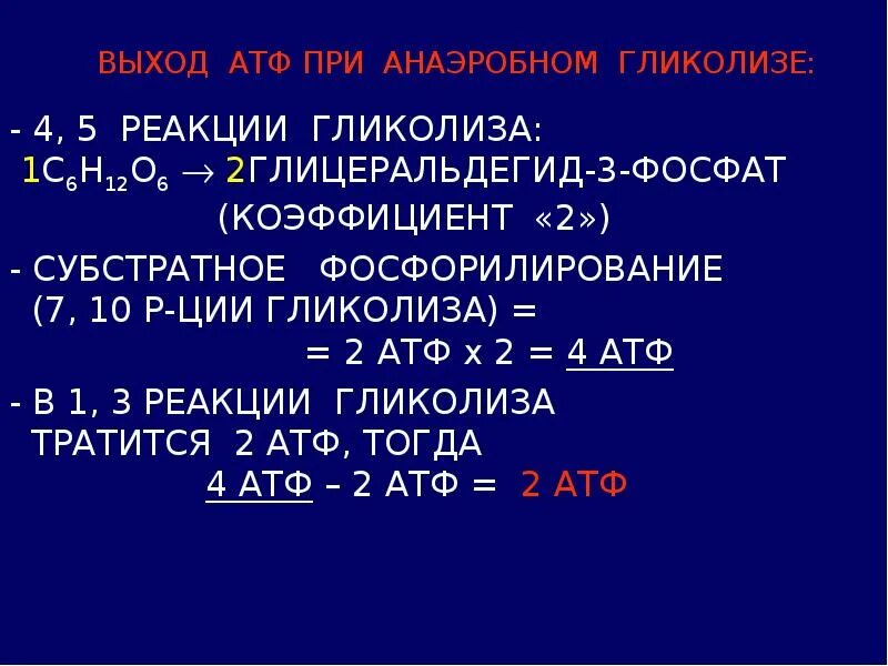 Образуется 2 атф в гликолизе